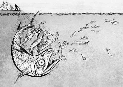 Aesop fable: The Fisherman and the Large and Small Fish