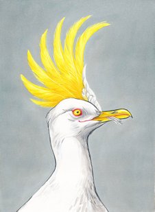 seagull as cockatoo