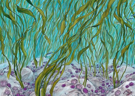 calendar 2023: underwater, kelp forest