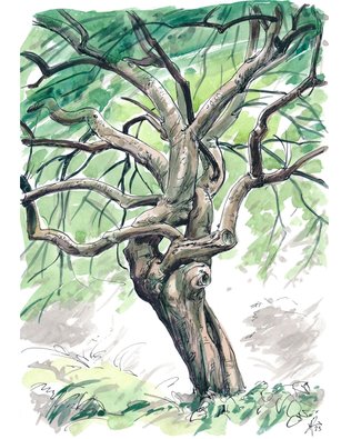 Kew Garden tree