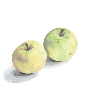 apple Klarapfel